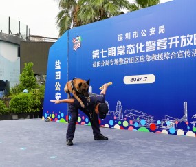 九游体育app-多伦多猛龙训练开放日；赛前强势反弹引欢呼；意大利杯在即；团队化学反应显著的简单介绍